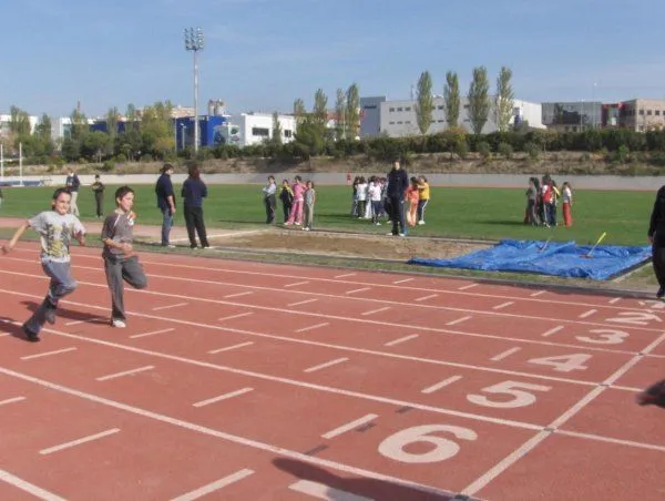 Zona Esportiva Municipal De Can Jofresa - centro deportivo en Terrassa